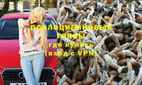 таблы Алексеевка