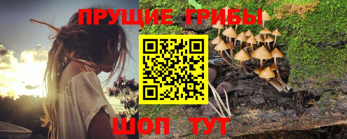 Псилоцибиновые грибы MAGIC MUSHROOMS  Вход с VPN  Первоуральск 