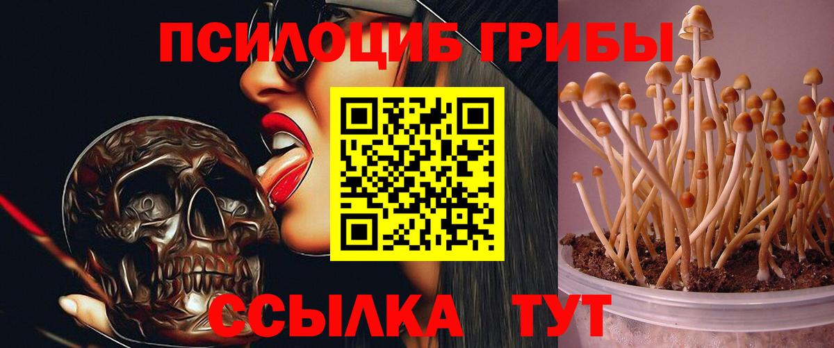 Галлюциногенные грибы Cubensis Первоуральск